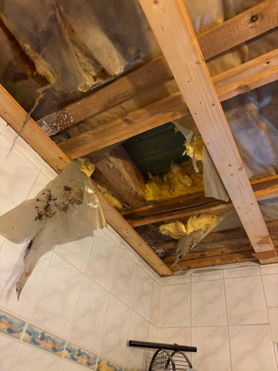 Geöffnete Decke nach Entfernung des Nests